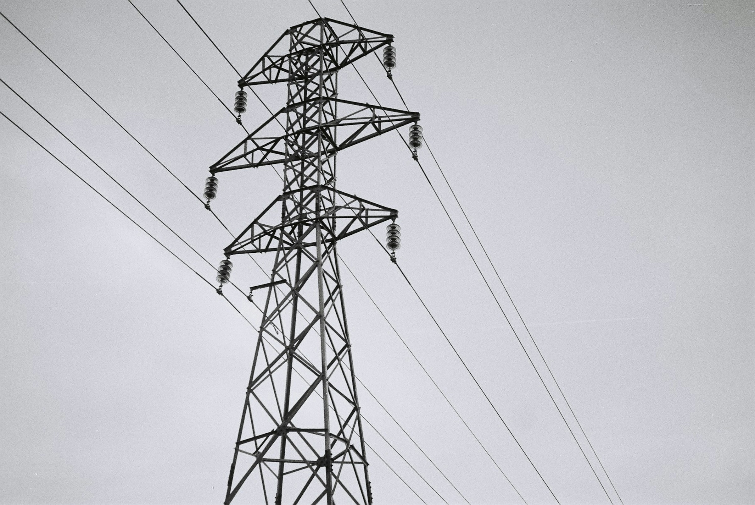 grianghraf qkwdb78pebo unsplash