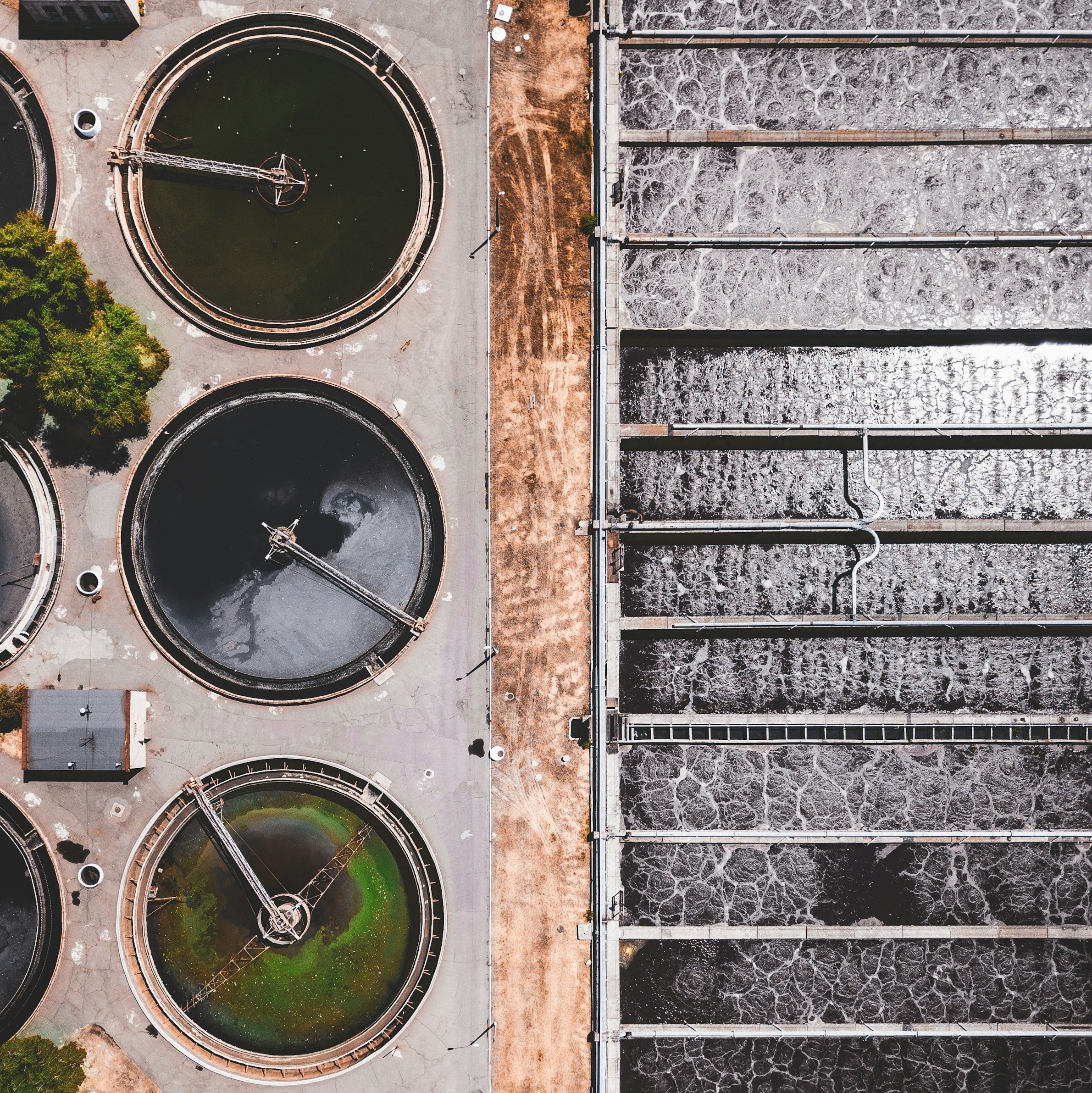ivan bandura 6wsevhw1dzc unsplash copy